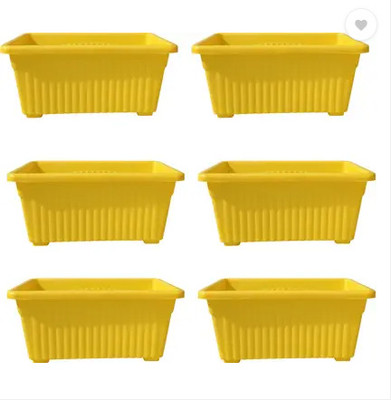 podhghar Podhghar Jupiter Pot Plant Container Set(Pack of 6, Plastic)