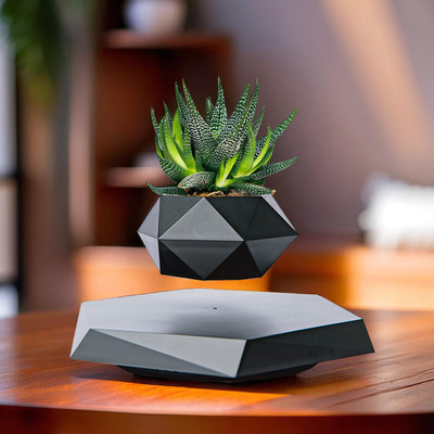 Ekhasa Black Magnetic Levitating Flower Pot | Levitating Plant Pot | Floating Plant Pot Plant Container Set(Poly-Resin)