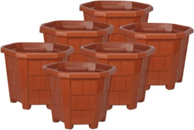 GreenLove Hexagon planter Plant Container Set(Pack of 6, Plastic)