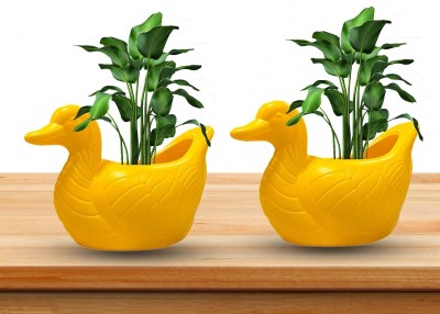 Blooming Enterprises Duck Shape Plant pot for Home décor 2pc Yellow Plant Container Set(Pack of 2, Plastic)