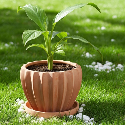 NAMURA ENTERPRISE Terracotta Gear shape planter with saucer Plant Container Set(Terracotta)