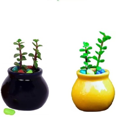 Jimkia Ceramic Planter Small Matka Shape for Home & Garden Black & Yellow Without Plant Plant Container Set(Pack of 2, Ceramic)
