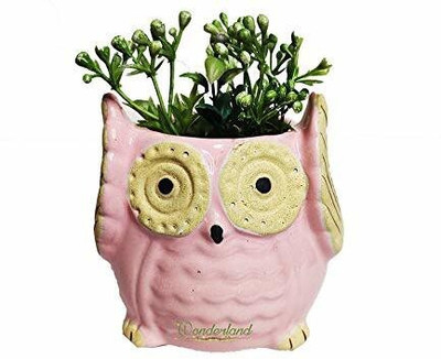 Jimkia Ceramic Hancrafted Succulent Planter Pot Plant Container Set(Ceramic)