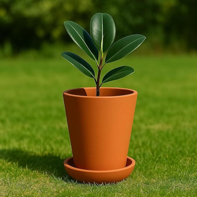 the handicraftian Terracotta Modern Cone Planter Small 3.5 Inch Pack of 1 for Living Room & Indoor Plant Container Set(Terracotta)
