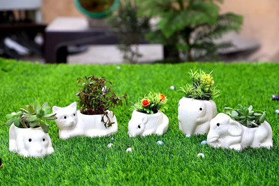 Bright Shop Plant Container Ceramic for Plants to décor Home Plant Container Set(Pack of 5, Ceramic)
