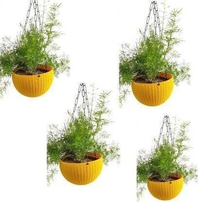 god of goods Plant Container Set(Pack of 4, Plastic)