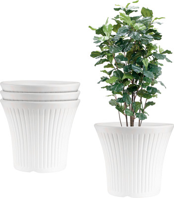 Garden's Need 10-Inch (25.4 cm) Tancy Flower Pot | Round Shape, Set of 4, White Plant Container Set(Pack of 4, Plastic) deal from flipkart Garden's Need 10-Inch (25.4 cm) Tancy Flower Pot | Round Shape, Set of 4, White Plant Container Set(Pack of 4, Plastic) deal from flipkart