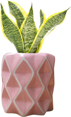 Gupta Ceramic Pink Diamond Pot Size 4x5 inch GH0012-02 Plant Container Set(Ceramic)