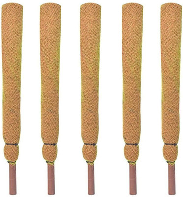 Nikhat Plant Container Set(Pack of 5, Plastic)