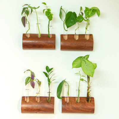 lazy gardener Timber Grove Trio Wall-Mounted Plant Container Set(Pack of 4, Wood)