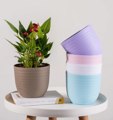 Nursery Hub 5 Beautiful Wave Matte Finish planters flower plant pots gamla gardening Plant Container Set(Pack of 5, Plastic)