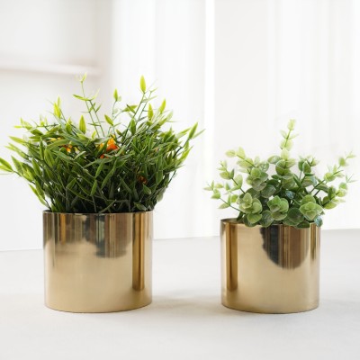 BEHOMA BEHOMA Mini Table Top Metal Planter, Set of 2 Golden (Plants not Included) Plant Container Set(Pack of 2, Metal)