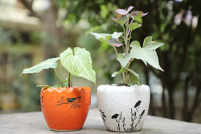 THE HIMALAYA CRAFT Plant Container Set(Pack of 2, Ceramic)