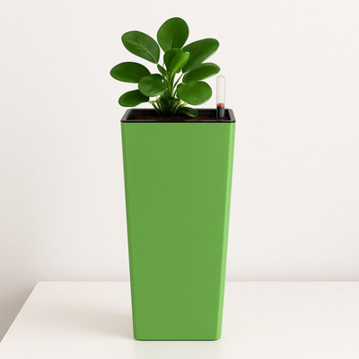 REDBUD Green Self Watering Planter/ Pot Plant Container Set(Plastic)