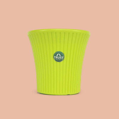 TrustBasket Tancy Pot 6 Inch Green Set of 1 Plant Container Set(Plastic)