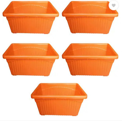 podhghar Podhghar Jupiter Pot Plant Container Set(Pack of 5, Plastic)