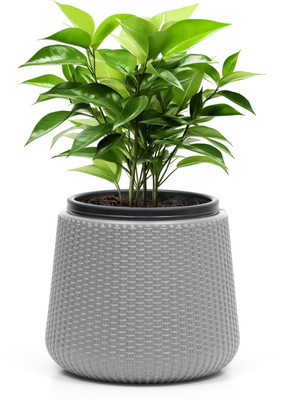 Livzing 7 inch Plastic Self Watering Flower Pots-Grey Plant Container Set(Plastic)