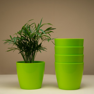 Seedsavvy 5 Inch Table pots | Pack of 5 | Indoor Flower Pot for Home/Office/Table Plant Container Set(Pack of 5, Plastic)