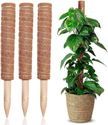 GREEN ISLAND Plant Container Set(Wood)