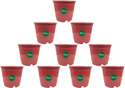 podhghar Nursery Seedlings Pots Plant Container Set(Pack of 10, Plastic)