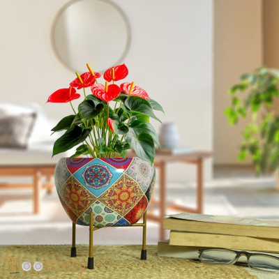 Bloomery Decorative Flower Pot Modern Geometric Design Plant Container Set(Metal)