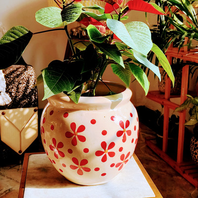 Niyara heart print pot 8 inch Plant Container Set(Ceramic)