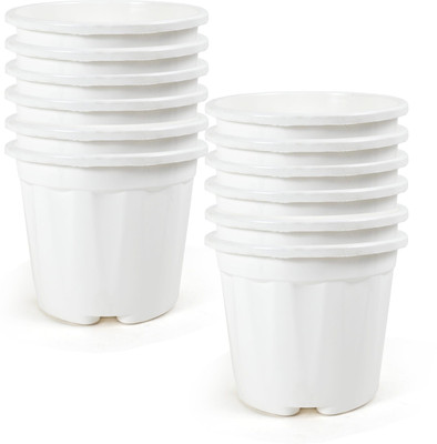 YK PLASTICS 8inch-np-white-12,Flower pot for gardening use Plant Container Set(Pack of 12, Plastic)
