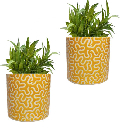 RBT Plant Container Set(Pack of 2, Ceramic)