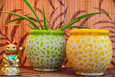 Niyara stylish Drop Texture Yellow and green ceramic pot combo 2 pcs size-6 inches Plant Container Set(Pack of 2, Ceramic)