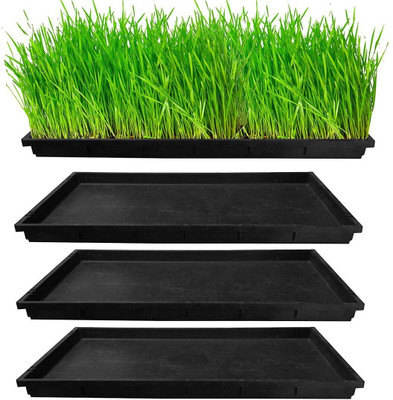 TrustBasket Wheat Grass Trays - Set of 4 Plant Container Set(Pack of 4, Plastic)