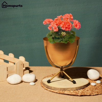 homspurts Matte Finish Golden Table Top Golden Metal Planters With Stand Plant Container Set(Metal)
