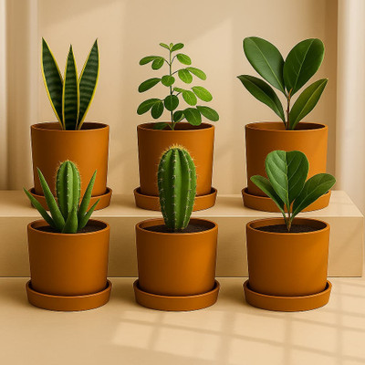 the handicraftian Autumn Planter Small 4 Inch|Ideal for Home & Living Room | Garden Plant Container Set(Pack of 6, Terracotta)