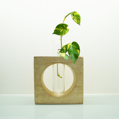 Leafy Dew Let's Decor Wooden Tabletop Planter Holder/Test Tube Planter Plant Container Set(Wood, Glass)