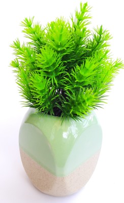 ASHIRA DICE shape Dual-Tone Pista Green Plant Container Set(Ceramic)