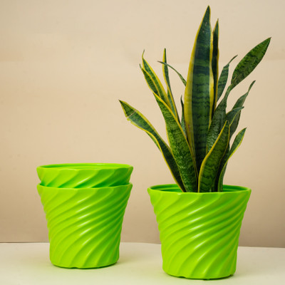 Seedsavvy 8 Inch Pots| Pack of 3 | Indoor and Outdoor Flower Pot for Home/Office Plant Container Set(Pack of 3, Plastic)