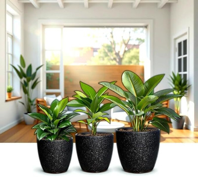DECO BAY Plant Container Set(Pack of 3, Metal)