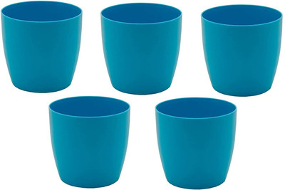 CACTUS VARIETIES Plant Container Set(Pack of 5, Plastic)