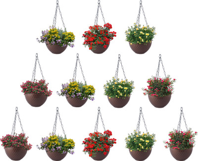 Zobby Hanging / Hooked Flower Pots for Home, Terrace, Balcony, Garden Decoration Plant Container Set(Pack of 12, Plastic)
