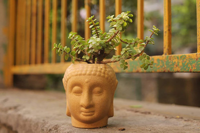 Bright Shop Plant Container Ceramic for Plants to décor Home Plant Container Set(Ceramic)