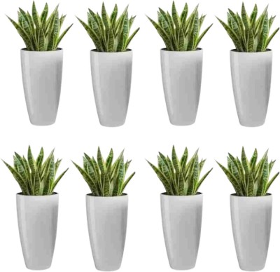 Muddstyles Plastic Tower Pot 8.5 inch Flower Pot for Home office Garden Balcony Plant Container Set(Pack of 8, Plastic)