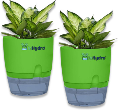 InHydro Wick Hydroponic system|Self Watering Pot|Plant Not Included|Plant Container Set Plant Container Set(Pack of 2, Glass, Plastic)
