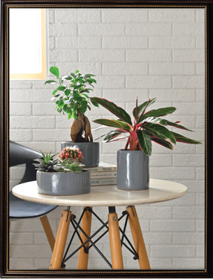 UGAOO Lilac Stories Bundle - Grey Plant Container Set(Pack of 3, Ceramic)