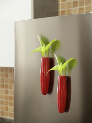 VarEesha GreenDoor Red Oval Ceramic Magnetic Planters Set of Two Plant Container Set(Pack of 2, Ceramic)