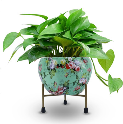 Cinagro MetalFlowerPlanterPot�SpringBloomStylePotsforPlants,HomeDecoration Plant Container Set(Metal)