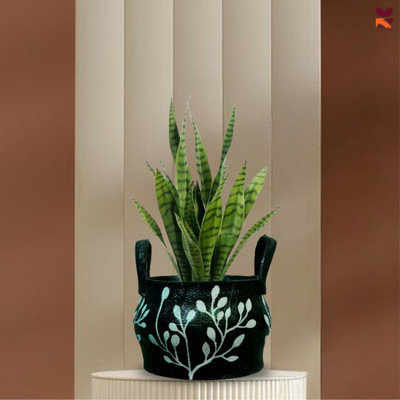 HUNAR TRIBE MM013 Plant Container Set(Rubber)