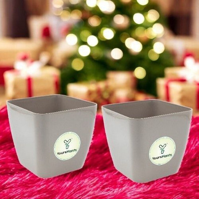 YoursPlants Mocca 6.5inch Siena (w17cm X h16cm) Corner Planters -Indoor / Outdoor Plant Container Set(Pack of 2, Plastic)