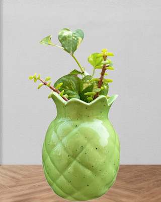 ASDecor Pineapple Shape Ceramic Pot Plant Container Plant Container Set Plant Container Set(Ceramic)