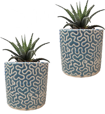 Gupta Light Blue RD Pipe Ceramic Pot Size 4x4inch GH0022-03_Packof2 Plant Container Set(Pack of 2, Ceramic)