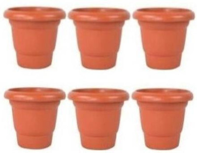 Virajsanchi Enterprises DukanRoad Plant Containers-24 Plant Container Set(Pack of 6, Plastic)