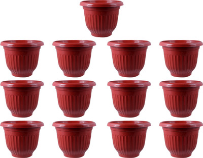 Zobby Decorate Home/ Office / Garden / Terrace / Balcony / With Growing Pots Plant Container Set(Pack of 13, Plastic)